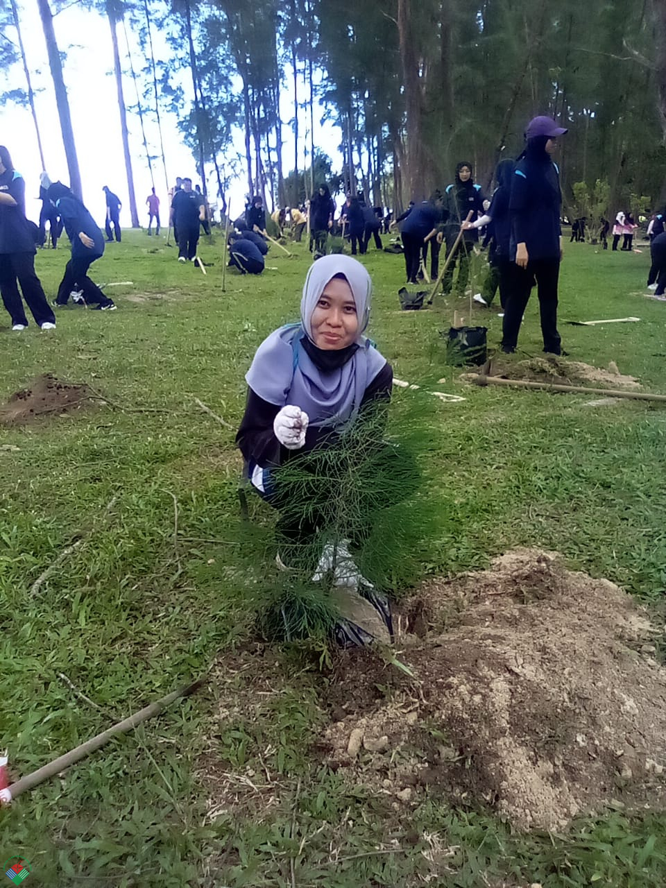 PROGRAM PENANAMAN POKOK DAN KEMPEN PENANAMAN 100 JUTA POKOK WILAYAH ...